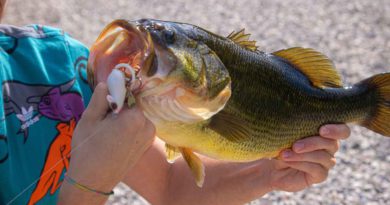 Missouri Bass Fishing