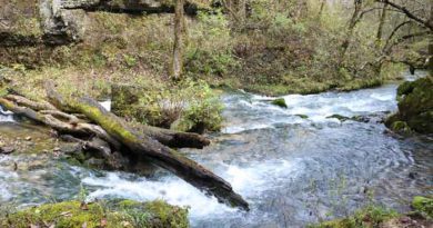 Mark Twain National Forest Rolla MO