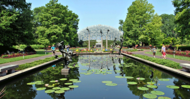 missouri botanical garden