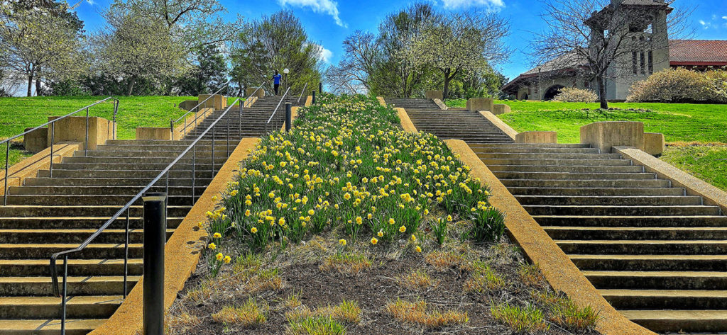 Forest Park St Louis MO